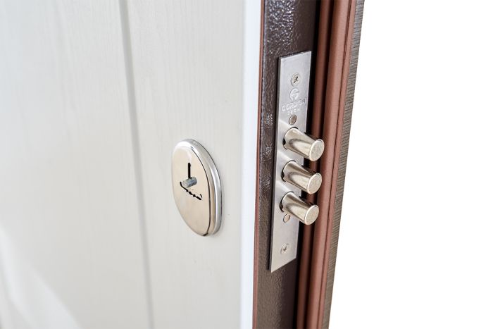 Вхідні двері модель Britana комплектація Comfort ABWEHR (505)